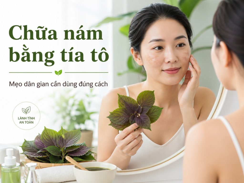 chua nam bang la tia to